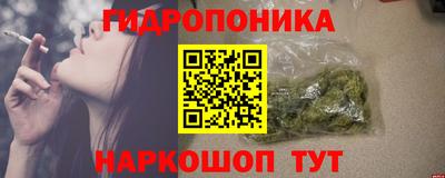 индика Гусиноозёрск
