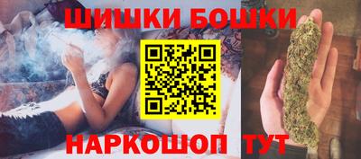 индика Гусиноозёрск