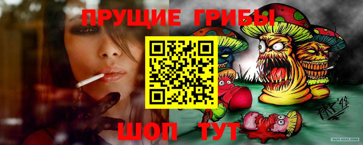Псилоцибиновые грибы мицелий Краснознаменск